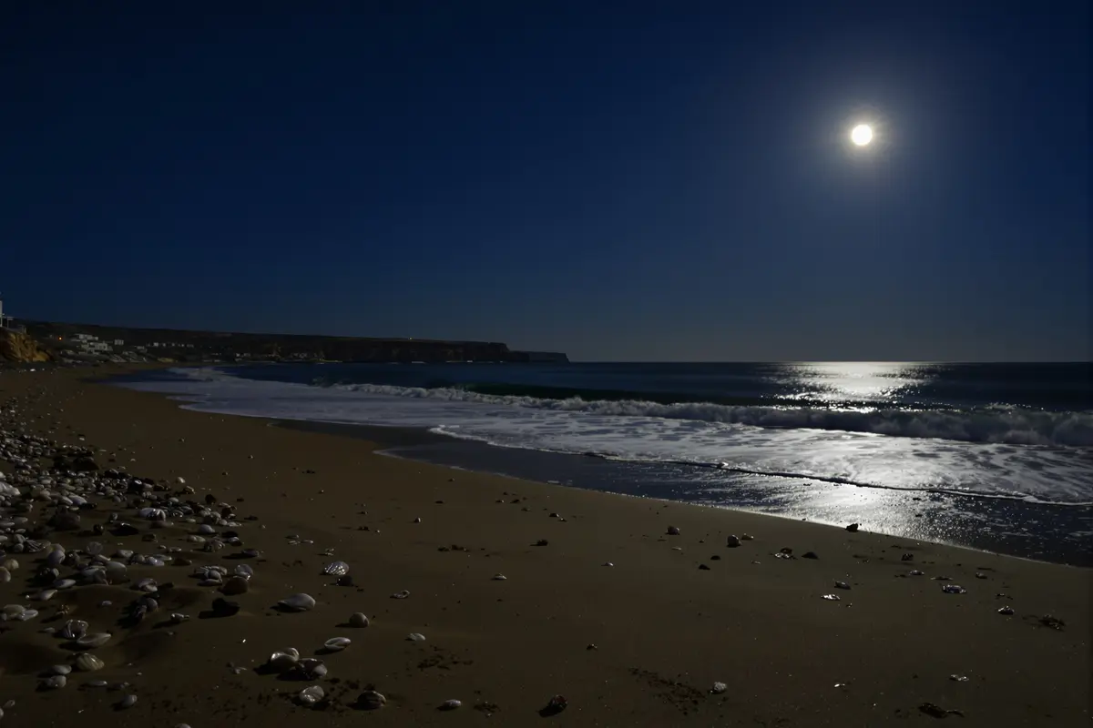 The Moon is drifting away—how it’s secretly changing your days and tides
