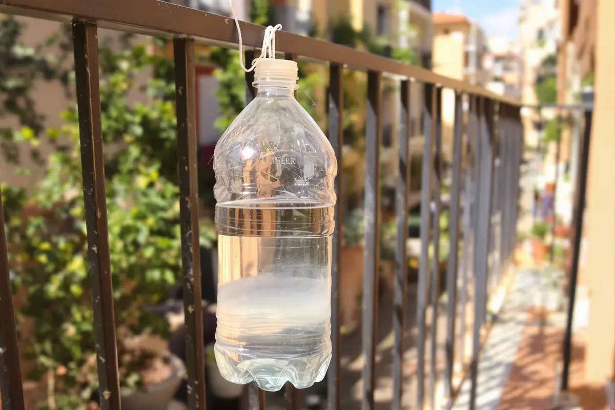 Why people hang bottles with vinegar on balconies (the real reason shocks)